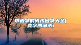 带麦字的男孩名字大全(麦字的词语)
