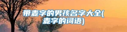 带麦字的男孩名字大全(麦字的词语)