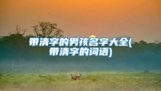 带清字的男孩名字大全(带清字的词语)