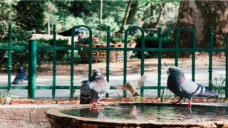 看痣相算命图解(身上这4处有痣的人)