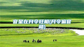 官星在月令旺相(月令偏官格)