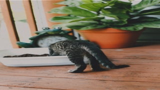 经常梦到老公出轨怎么回事(男人梦到自己出轨)