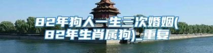 82年狗人一生三次婚姻(82年生肖属狗)_重复