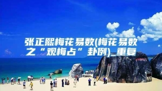 张正熙梅花易数(梅花易数之“观梅占”卦例)_重复