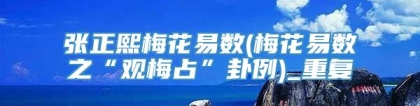 张正熙梅花易数(梅花易数之“观梅占”卦例)_重复