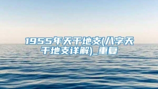 1955年天干地支(八字天干地支详解)_重复