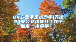 24岁是不是本命年(天津24岁公交小伙儿工作中迎来“本命年”)
