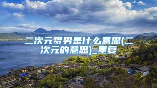 二次元梦男是什么意思(二次元的意思)_重复