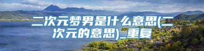 二次元梦男是什么意思(二次元的意思)_重复