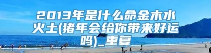 2013年是什么命金木水火土(猪年会给你带来好运吗)_重复