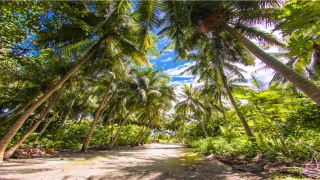 按出生年月算年龄的函数(自己的具体年龄很难算)