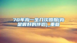 70年狗一生几次婚姻(狗是很好的伴侣)_重复