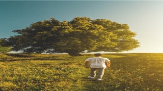 查一查名字的好坏(姓名好坏查询免费)