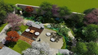 芭蕉的风水寓意(家里院子里种些什么树)