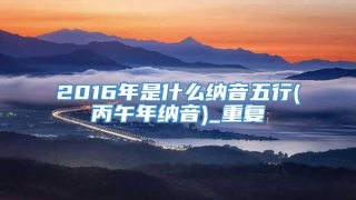 2016年是什么纳音五行(丙午年纳音)_重复