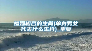 婚姻相合的生肖(单身男女代表什么生肖)_重复