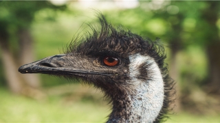 马云m纹大富大贵的手相(必定大富大贵的手相)