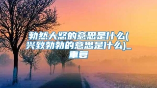 勃然大怒的意思是什么(兴致勃勃的意思是什么)_重复