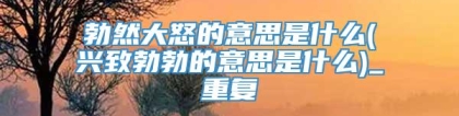 勃然大怒的意思是什么(兴致勃勃的意思是什么)_重复