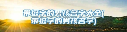 带挺字的男孩名字大全(带挺字的男孩名字)