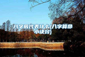 八字辰代表什么(八字算命小诀窍)