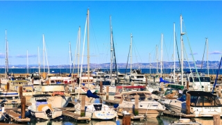 出道仙梦见小孩子(林正英僵尸白天出来)_重复