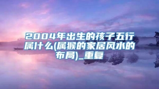 2004年出生的孩子五行属什么(属猴的家居风水的布局)_重复