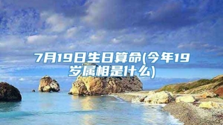 7月19日生日算命(今年19岁属相是什么)
