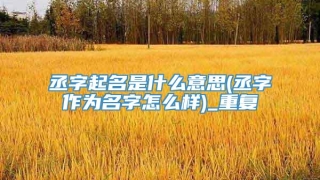丞字起名是什么意思(丞字作为名字怎么样)_重复