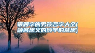 带顾字的男孩名字大全(顾名思义的顾字的意思)