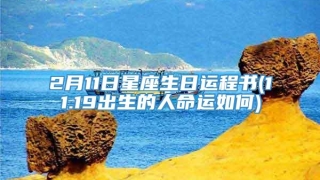 2月11日星座生日运程书(11.19出生的人命运如何)