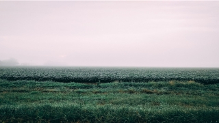 k366免费算命网取名(“山竹”今晚到货)