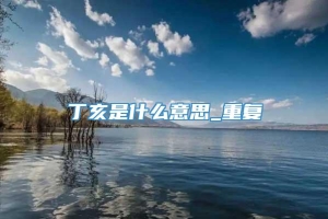 丁亥是什么意思_重复