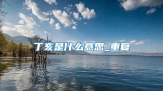 丁亥是什么意思_重复