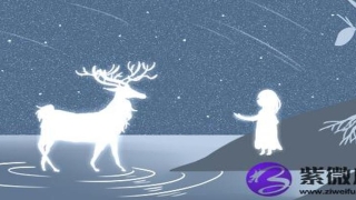 2019年金猪年(白蜡金2021年运势)_重复