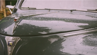 86年属虎36岁有一灾(86年属虎运势)