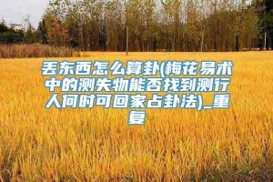 丢东西怎么算卦(梅花易术中的测失物能否找到测行人何时可回家占卦法)_重复