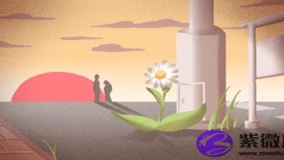 白蜡金是什么意思这个命好不好(白蜡金命是什么意思)