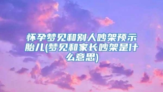 怀孕梦见和别人吵架预示胎儿(梦见和家长吵架是什么意思)