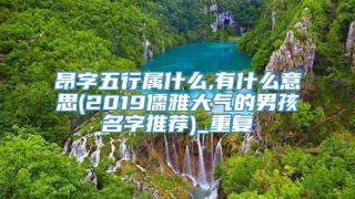 昂字五行属什么,有什么意思(2019儒雅大气的男孩名字推荐)_重复