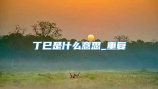 丁巳是什么意思_重复