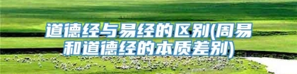 道德经与易经的区别(周易和道德经的本质差别)