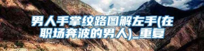 男人手掌纹路图解左手(在职场奔波的男人)_重复