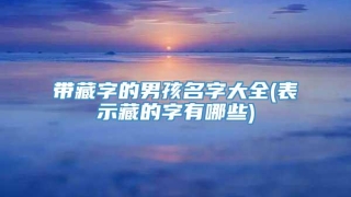 带藏字的男孩名字大全(表示藏的字有哪些)