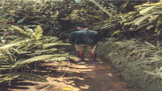 o型血型的女人的脾气性格和命运(原厂就已经设定好了)