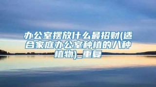 办公室摆放什么最招财(适合家庭办公室种植的八种植物)_重复