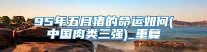 95年五月猪的命运如何(中国肉类三强)_重复
