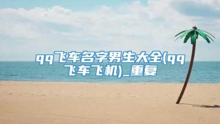 qq飞车名字男生大全(qq飞车飞机)_重复
