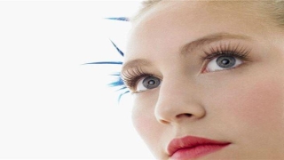 眉毛看相女人图解法(眉型图解面相)