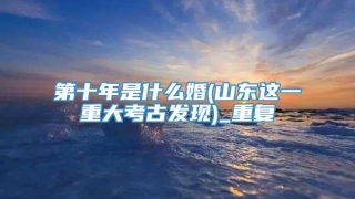 第十年是什么婚(山东这一重大考古发现)_重复